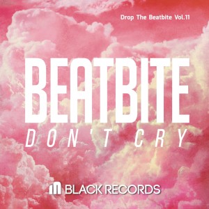 Album Drop the Beatbite, Vol. 11 from Beatbite