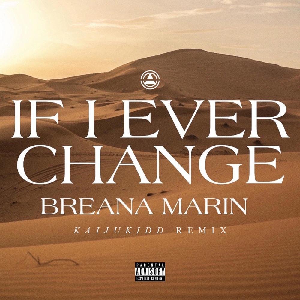 If I Ever Change (feat. KaijuKidd) (Remix) (Explicit) (Remix|Explicit)