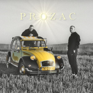 ดาวน์โหลดและฟังเพลง PROZAC (Explicit) พร้อมเนื้อเพลงจาก Skowron