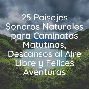 Album 25 Paisajes Sonoros Naturales para Caminatas Matutinas, Descansos al Aire Libre y Felices Aventuras from 