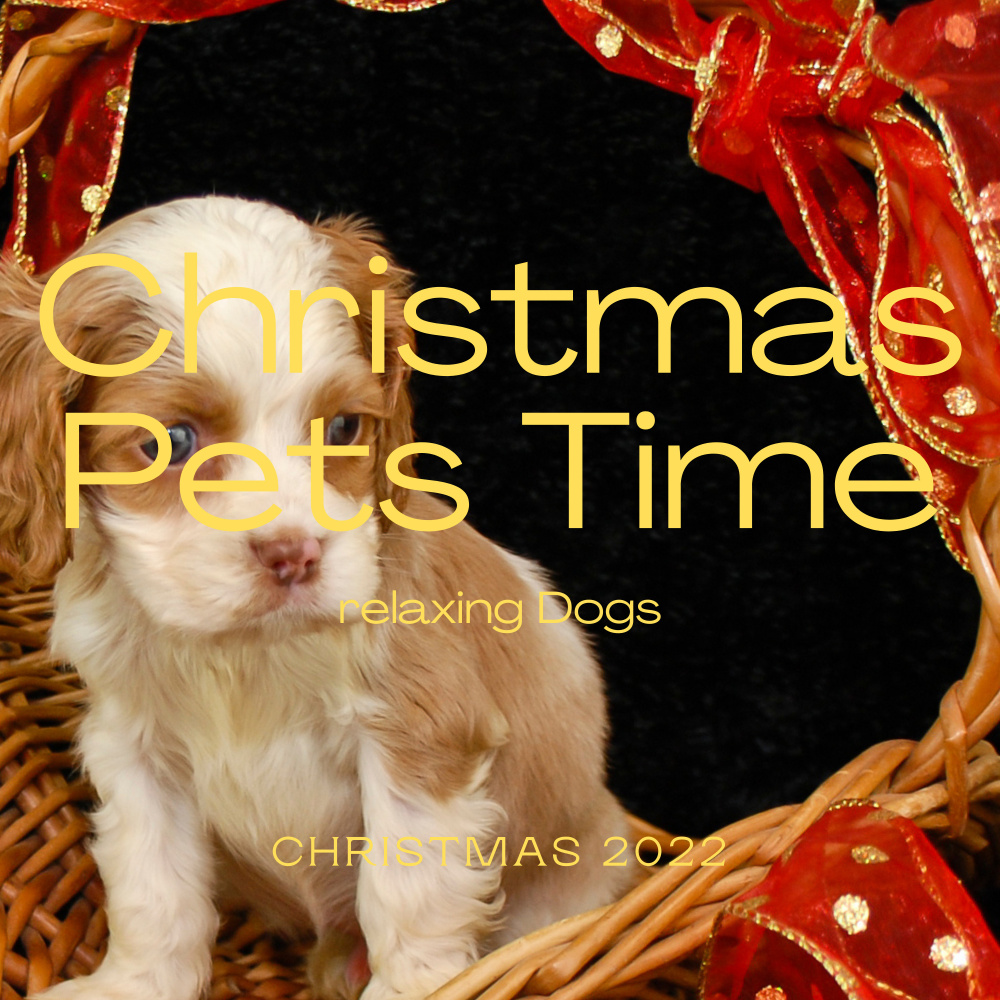 Turbo Holiday Naps with I Heard the Bells on Christmas Day
