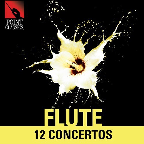 Flute Concerto in D Major, Hob. VII.1: I. Allegro Moderato