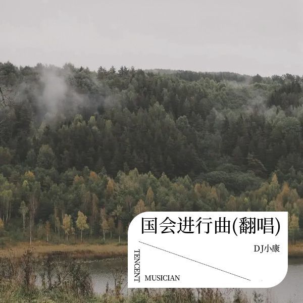 伤感 (DJ小康 remix) (Remix)