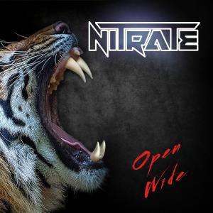 ดาวน์โหลดและฟังเพลง Shot in the Dark พร้อมเนื้อเพลงจาก Nitrate