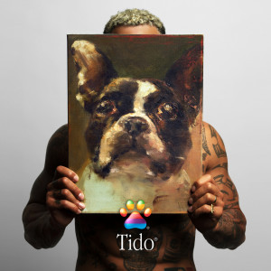 Bizzey的專輯Tido