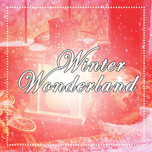 Christmas Party的专辑Winter Wonderland
