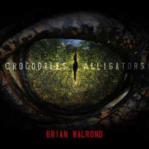 Listen to Come and Save Me song with lyrics from Brian Walrond
