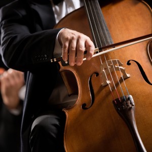 อัลบัม Nighttime Serenade: Orchestra for Dogs ศิลปิน Easy Listening Instrumental Music