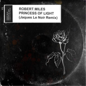 收聽Robert Miles的Princess Of Light (Jaques Le Noir Remix)歌詞歌曲