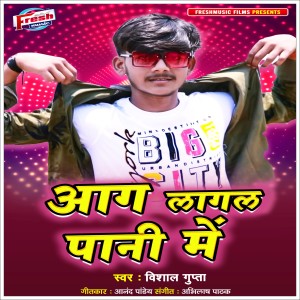 Listen to Aag Lagal Pani Me song with lyrics from Vishal Gupta