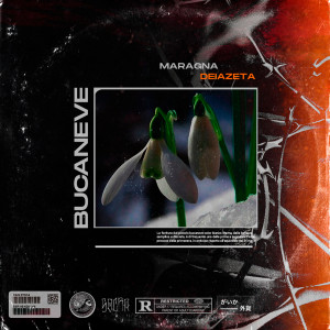 ดาวน์โหลดและฟังเพลง Cheche (Explicit) พร้อมเนื้อเพลงจาก Maragna