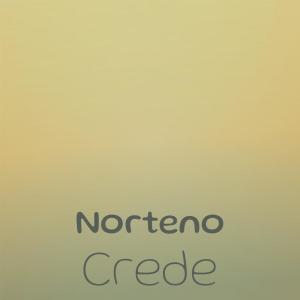 Various Artists的專輯Norteno Crede