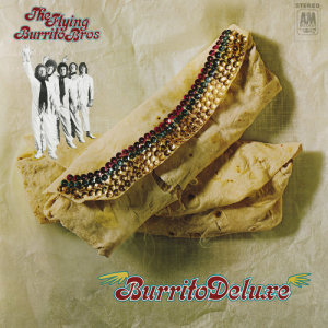 ดาวน์โหลดและฟังเพลง Lazy Days พร้อมเนื้อเพลงจาก The Flying Burrito Brothers