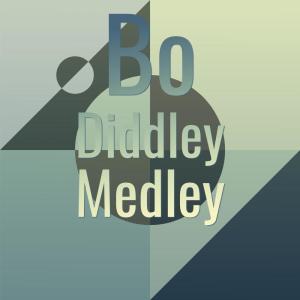Listen to Bo Diddley Medley song with lyrics from LADY BO