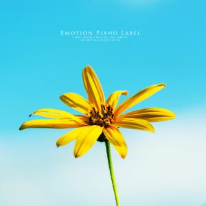 收听Park Hoyeon的Where love begins歌词歌曲