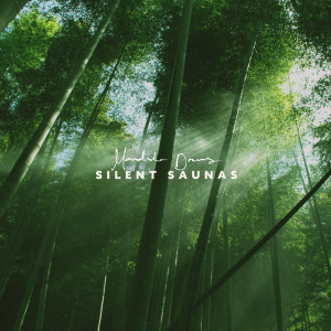 Album Silent Saunas oleh Mandala Dreams