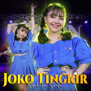 Dengarkan Joko Tingkir lagu dari Syahiba Saufa dengan lirik