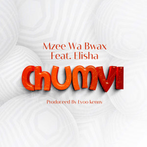 Mzee wa Bwax的專輯Chumvi