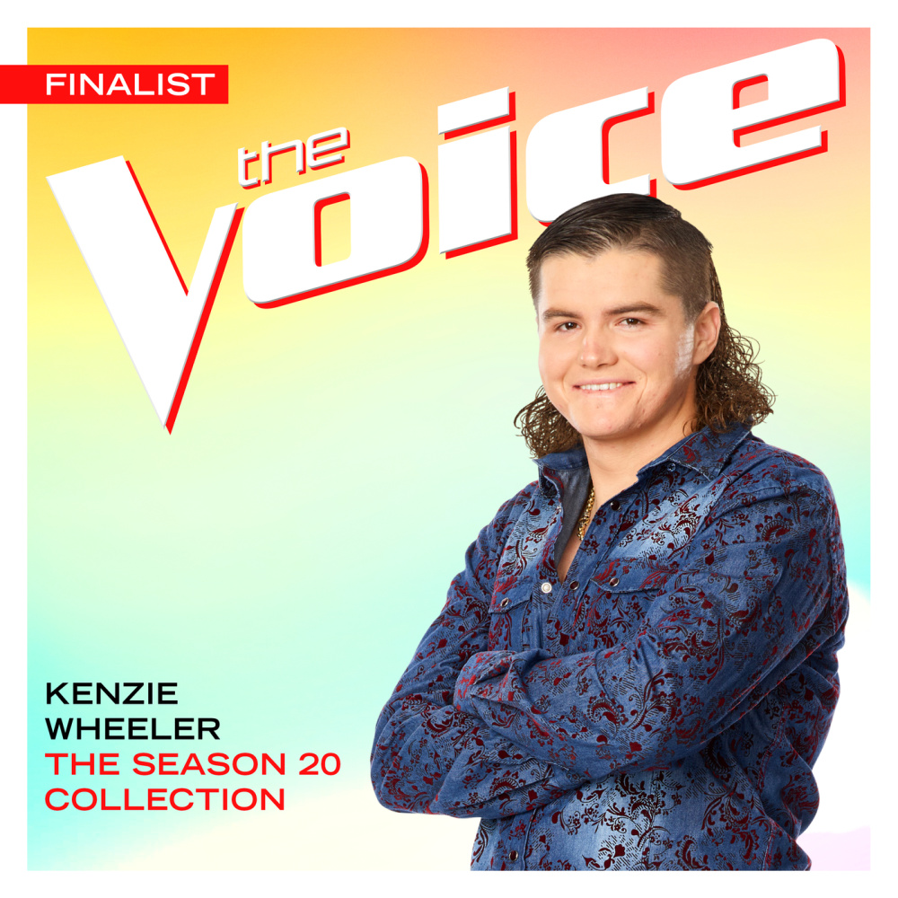 When You Say Nothing At All (The Voice Performance)