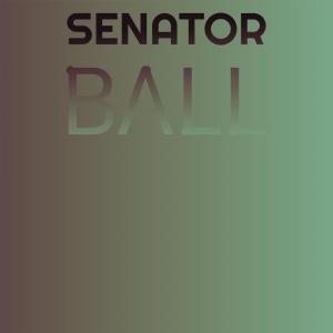 Listen to Senator Ball song with lyrics from Fredy Trke