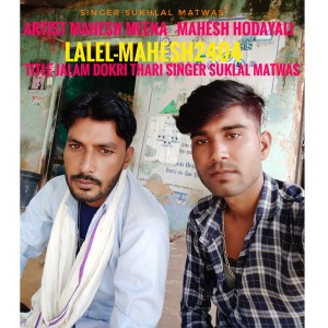收听Sukhlal Matwas的Jalam Dokri Thari Singer Suklal Matwas歌词歌曲