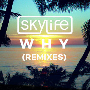 ดาวน์โหลดและฟังเพลง Why (Tom Budin Dub Remix) พร้อมเนื้อเพลงจาก Skylife