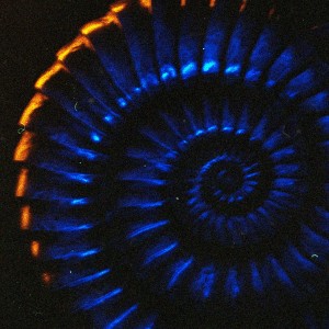 ดาวน์โหลดและฟังเพลง Студен душ พร้อมเนื้อเพลงจาก Jluch