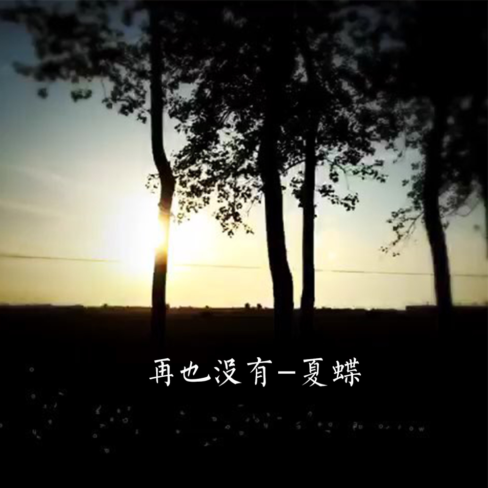 再也没有 (伴奏)