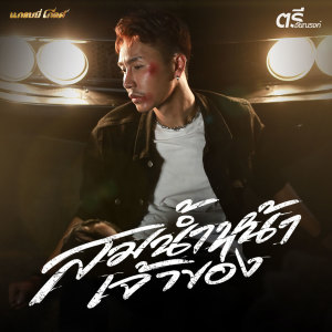 收聽ตรี ชัยณรงค์的สมน้ำหน้าเจ้าของ歌詞歌曲