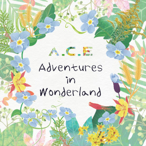 Album A.C.E Adventures in Wonderland from A.C.E