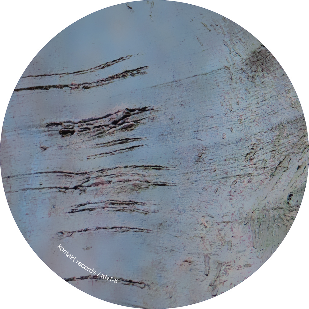 Tanz (Stojche Remix)