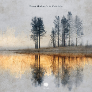 Eternal Meadows的专辑In the Wind's Shelter