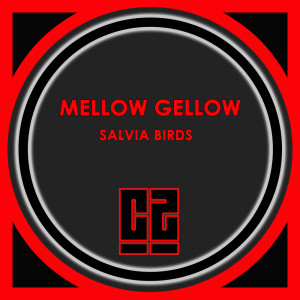 ดาวน์โหลดและฟังเพลง Pans Cyans พร้อมเนื้อเพลงจาก Mellow Gellow