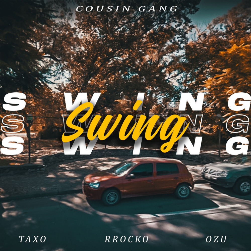 Swing