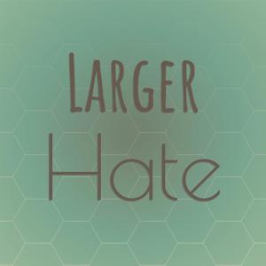 Various的专辑Larger Hate