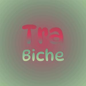 Various的专辑Tra Biche