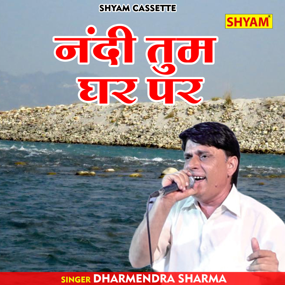 Nandee Tum Ghar Par (Hindi)