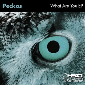 收聽Peckos的What Are You歌詞歌曲