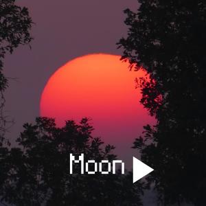 Album Moon from Mellow Moods
