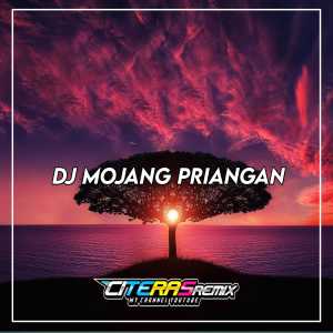 Dengarkan DJ MOJANG PRIANGAN lagu dari CAPANK PRADIPTA dengan lirik