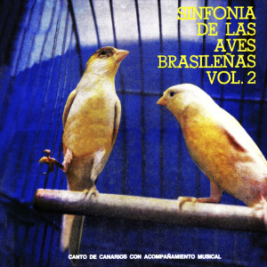 Johan Dalgas Frisch的專輯Sinfonía De Las Aves Brasileñas, Vol. 2