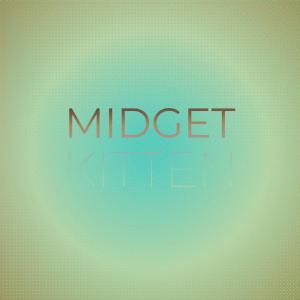 Various Artists的專輯Midget Kitten