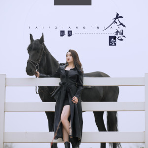 ดาวน์โหลดและฟังเพลง 太想念 (伴奏) พร้อมเนื้อเพลงจาก 菲儿