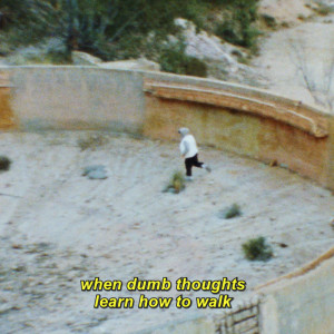 Album When Dumb Thoughts Learn How to Walk from S. Fidelity