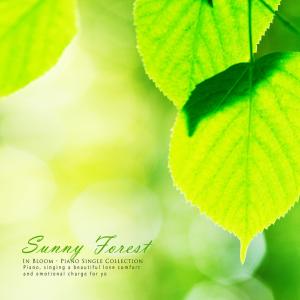 Dengarkan lagu Sunny Forest nyanyian In Bloom dengan lirik