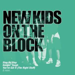 收聽New Kids On The Block的Didn't I (Blow Your Mind This Time) (Album Version)歌詞歌曲