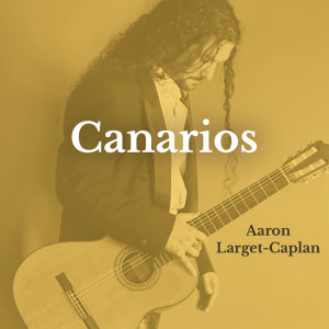 Album Suite Española: Canarios (Arr. for Guitar by Narciso Yepes) from Gaspar Sanz