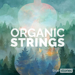 Listen to The Artisan song with lyrics from Andrew Lord