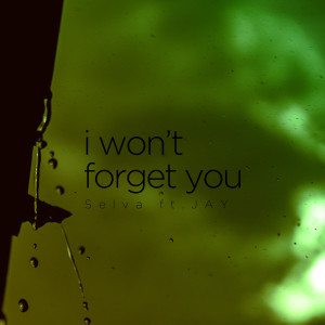 I Won't Forget You