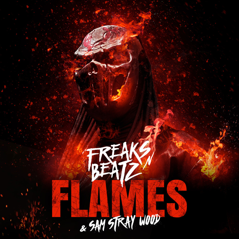 Flames (V.I.P. Remix)